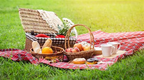 Modern picnic. Things To Know About Modern picnic. 